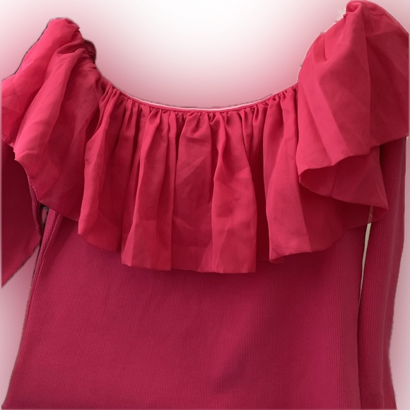 Anthropologie Off-The-Shoulder Organza Ruffle Top - Picture 10 of 16